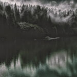 Precision Medicine and AI: The Key to Living Longer, Healthier Lives